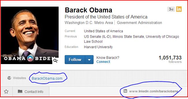 linked in customise website and linked in url  links
